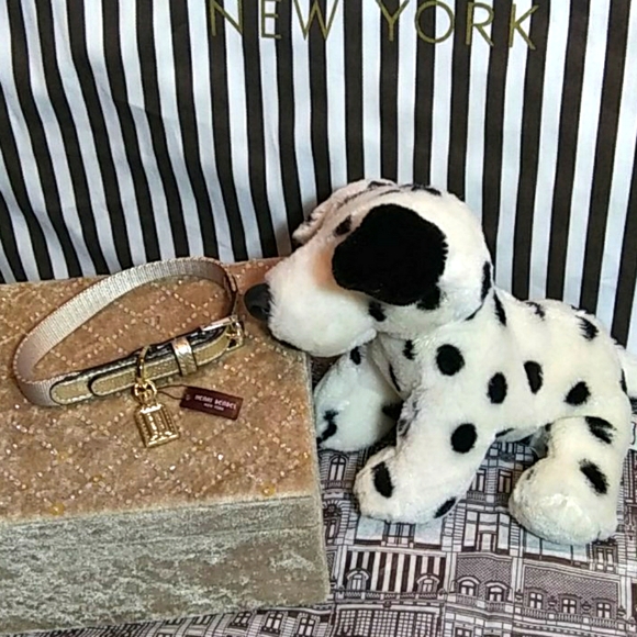 Henri Bendel Small Influencer dog collar - Picture 8 of 14